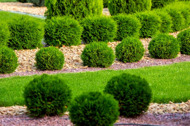 Tree and Shrub Landscaping